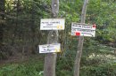 Du col de Morteville au col des Charbonniers